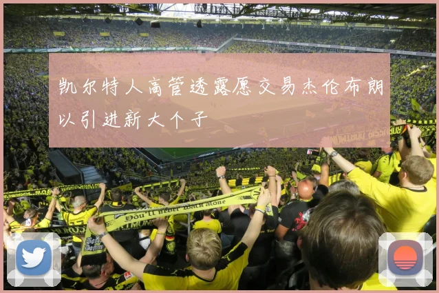 凯尔特人高管透露愿交易杰伦布朗以引进新大个子